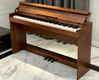 Piano Digital Standar 88 Velocity B105 PVC Motif Kayu 800 Nada 600 Ritme Fungsi USB MIDI MP3