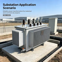 Transformateur de distribution triphasé à double enroulement en alliage amorphe immergé dans l'huile Shenmeng S(B)H15 30kVA-2500kVA 10kV 400V
