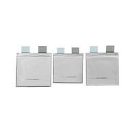 Cellules de batterie au lithium-ion de poche 3.2V 20Ah 30Wh personnalisées en usine Systèmes de stockage d'énergie solaire pour scooter électrique LFP