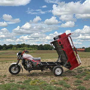 Tricycle de livraison à moteur <span class=keywords><strong>essence</strong></span>, <span class=keywords><strong>prix</strong></span> fabricant, tricycle de livraison à 3 roues à bas <span class=keywords><strong>prix</strong></span> - Product Image 1