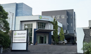 Platos de Madera Woodsun para Restaurantes, Platos de Madera para Comida - Product Image 5