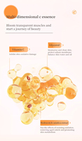 TWG RTS Sérum Visage à la Vitamine C Tonique et Lotion pour le Visage Nourrissant Hydratant Sérum Visage à la Vitamine C Tonique pour le Visage Soins de la Peau