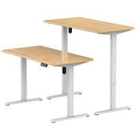 Table de Bureau Relevable Électrique Intelligente Économique à Moteur Unique, Cadre de Bureau Assis-Debout Réglable en Hauteur pour Bureau