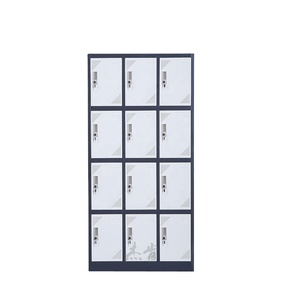 Armoire <span class=keywords><strong>de</strong></span> rangement métallique personnalisée à 12 portes, multi-niveaux, pour objets personnels, pour salle <span class=keywords><strong>de</strong></span> sport, école - Product Image 1
