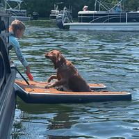 Rampe flottante gonflable pour chiens, idéale pour l'escalade – Meilleure vente