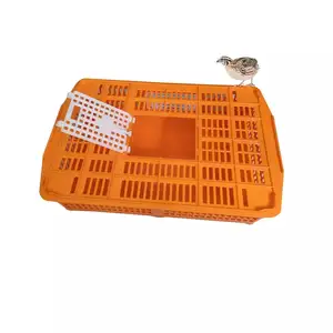 Two Doors Plastic Quail Transport Crate Chick Transport Bird Cages
