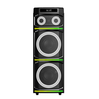 Haut-parleur de fête sans fil Bluetooth en bois Diamond Dual 12'' Woofer TWS 300W avec radio FM et machine de karaoké avec microphone