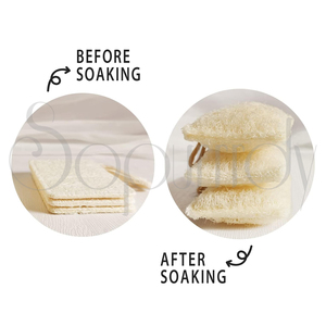 Éponges à vaisselle en loofah naturel avec logo personnalisé, éponge de nettoyage non rayante, éponge en fibres végétales biodégradables - Product Image 3