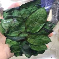 PPL58 장미 잎 도매 장미 잎 장미 가지 꽃꽂이 보조 재료 자연 및 장기 보존