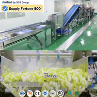 Baiyu commerciële water vortex fruit- en groentewasmachine met continu reinigingssysteem verse groenten snijlijn