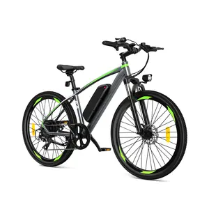 2024顶级电动自行车25MPH电动城市自行车350w 48v 12ah城市电动自行车