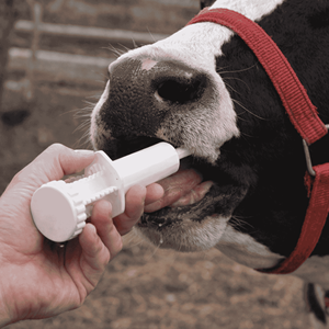 WANJIA動物用注射器（牛、羊、鶏のワクチン接種および投薬用、獣医および農業用途向け） - Product Image 2