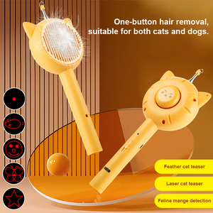 Factory New Luxury Multifunctional Charge <b>Pet</b> Hair Remover <b>Brush</b> Teaser Stick 5 1 Eco-Friendly PP Stainless Steel Material for - Product Image 2