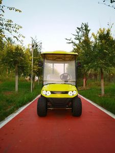 Carrito de Golf Eléctrico Personalizado de 4 Plazas con Batería, Carro de Golf, Buggy de Golf, Certificado CE para Carreteras No Públicas - Product Image 2