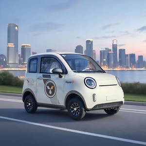 Scooter électrique à 4 roues entièrement fermé China Mika 2026 pour femmes adultes à domicile - Product Image 5