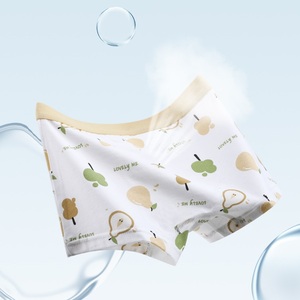 Ropa interior de algodón para niños al por mayor OEM ODM 3-15 años, calzoncillos y bóxer transpirables para niños - Product Image 3