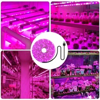 Tira de Luz LED SMD 2835 para Cultivo, Cortable, con Cable de Cobre, USB 5V, Impermeable, Espectro Completo, Iluminación Suplementaria para Plantas y Flores