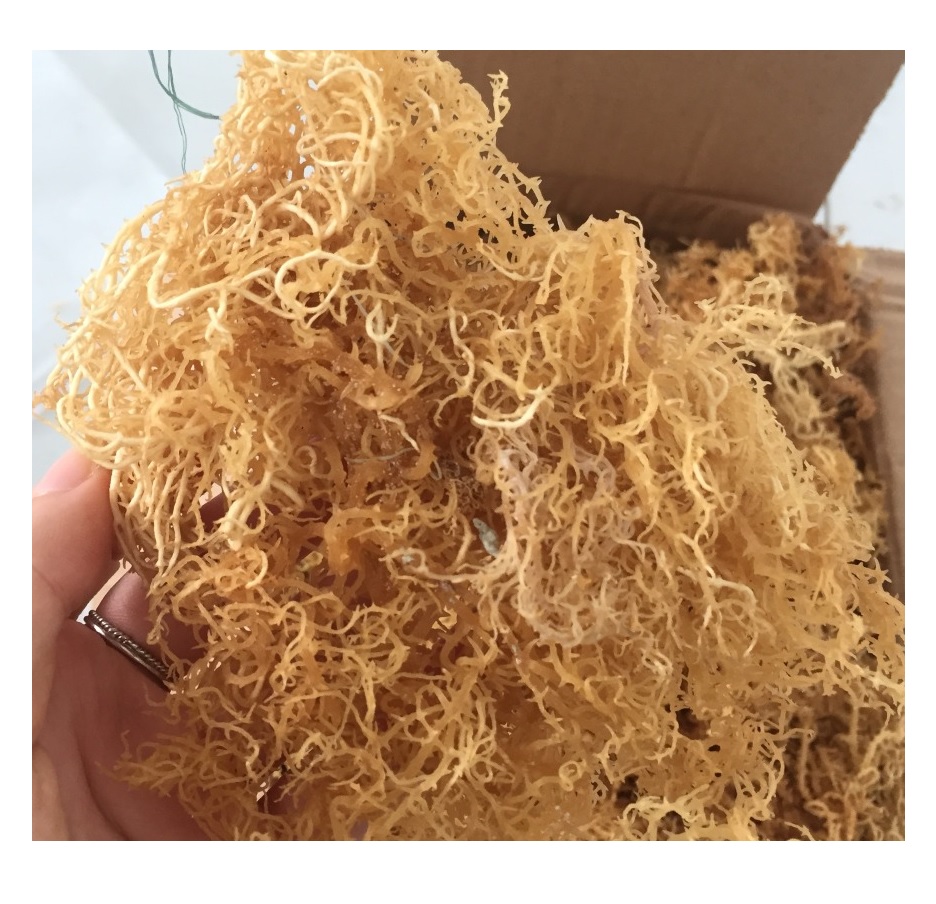 Вьетнамские водоросли eucheuma cottonii/Коралловая трава (WS: 0084987731263)