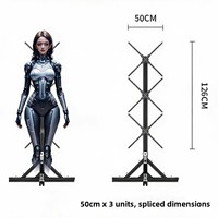 Ventilateur holographique 3D de 50 cm avec projection d'écran, machine publicitaire numérique stéréo à suspension, imagerie aérienne LED, éducation OEM
