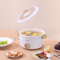 Nouvelle marmite électrique de couleur personnalisée pour la maison Mini marmite fonctionnelle avec vapeur 700W