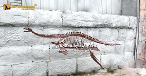MY DINO DS-152 Exposition de dinosaures, squelette de dinosaure, petit plesiosaure - Product Image 3