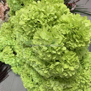 B-696 Compre al por Mayor Flores de Hortensia de Seda Verde para Decoración del Hogar, Ramas Largas Decorativas de Hortensia, Flores Artificiales Individuales Grandes - Product Image 2
