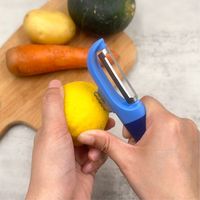 Éplucheur de légumes avec poignée antidérapante en acier inoxydable pour pommes de terre, pommes, citrons, citrons verts et agrumes