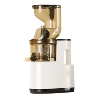 Extracteur de Jus Électrique Multifonction et Séparateur de Pulpe, Compact, pour Jus de Fruits et Légumes et Lait de Soja