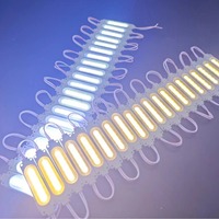Module COB Lumière LED DC 12V 24V IP65 Étanche Lentille Signe Canal Lettre Haute Puissance Cob Led Module pour Publicité Boîtes Lumineuses