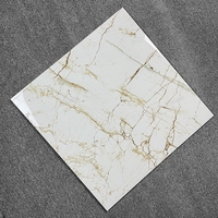 Carreaux muraux diaphanes modernes de 600x600mm pour la construction de la cuisine intérieure, la maison, la villa, la brique réfractaire, 600x600mm