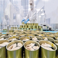 Fruits de mer en conserve commerciaux faisant des poissons de sardine d'usine dans la machine d'usine de mise en conserve de traitement d'huile