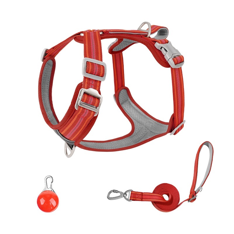 Conjunto rojo