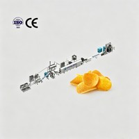 Machine brevetée pour la fabrication de chips de pommes de terre, équipement de production de chips de pommes de terre composées, performance stable, qualité fiable