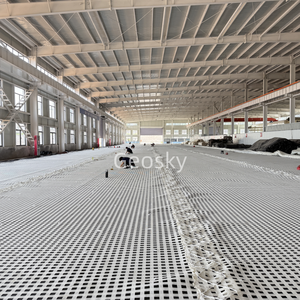 Geosky Premium Kunststoff HDPE Geo gitter Mehrzweck-Geo kunststoffe für die Asphalt bewehrung von Stützmauer einfahrten - Product Image 1