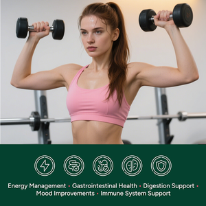 OEM/ODM disesuaikan Berberine Gummies alami Berberine kompleks & Susu Thistle, ACV suplemen untuk metabolisme dewasa, Gut Kesehatan - Product Image 2