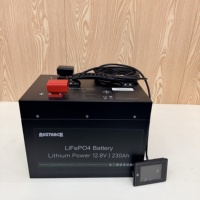 Batería de ciclo profundo LiFePo4 de 12V 24V 48V 100Ah 150Ah 200Ah 300Ah 400Ah 600Ah con celdas de grado A, BMS inteligente Bluetooth, personalizada, en stock en la UE
