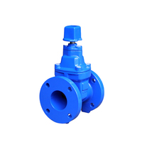 Vanne à opercule souterraine WEIZIDOM BS5163 DN50~DN400 à joint souple pour système d'eau