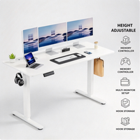Bureau électrique blanc réglable en hauteur, assis-debout, double moteur, contrôle par mémoire, pour bureau à domicile, prise UK
