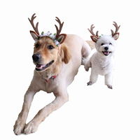 Accessoires pour animaux de compagnie de Noël : Bandeau chapeau renne pour chiens et chats