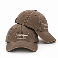 Gewassen katoenen 6-delige vintage baseballcap met geborduurde luipaardprint, zonnebescherming, casual outdoor pet, unisex