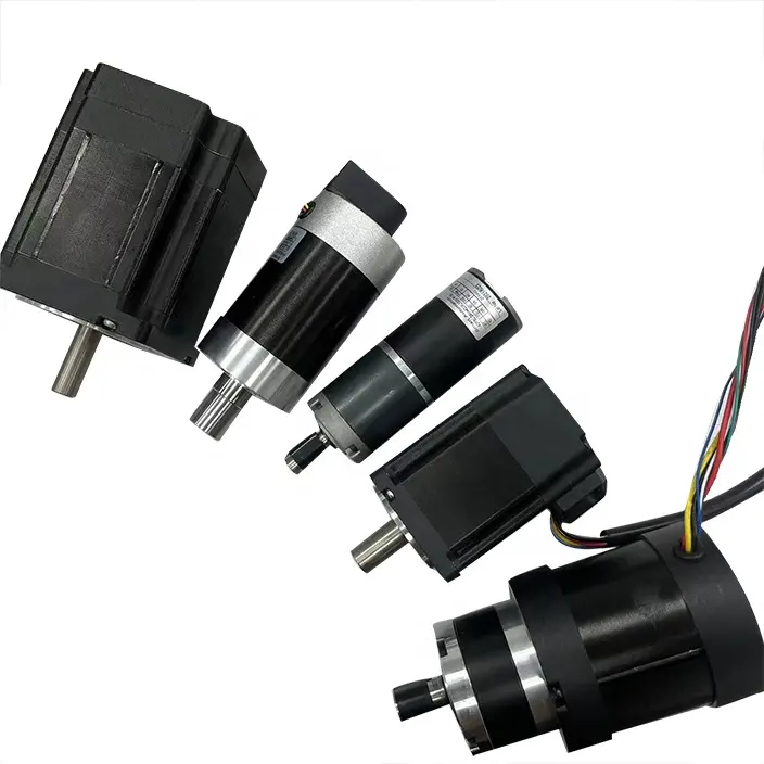 Boyutu 30mm-110mm güç 10w-2000w özelleştirilebilir fırçalanmış fırçasız PM elektrik Dc Motor CE RoHS 12vdc 24vdc 36vdc 6060vdc