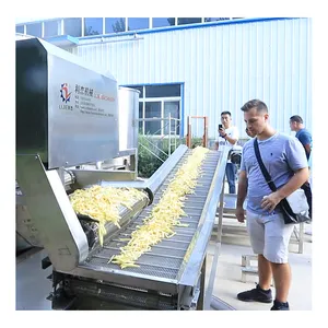 Factory full production line produce frozen french fries