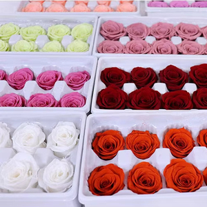 Roses Éternelles de Haute Qualité, 10 Pièces, 4 cm, Grade A, Fleurs Naturelles Réelles, Têtes de Roses pour Décoration de Mariage, Saint-Valentin - Product Image 1