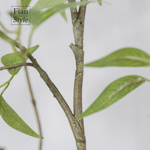 FONG IAN grosir daun Osmanthus dengan Pot hidup hijau Natal pernikahan dekorasi dalam ruangan untuk pintu masuk rumah kantor - Product Image 6