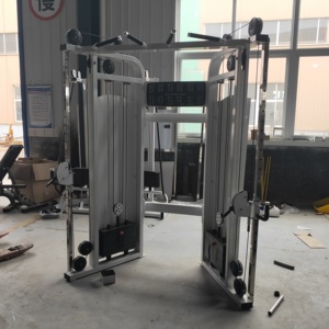 Vente en gros Unisexe Multifonctionnel FTS Glide Nouveau Fitness <span class=keywords><strong>Petit</strong></span> Câble Croisé pour Usage Commercial Équipement de Fitness Commercial - Product Image 2