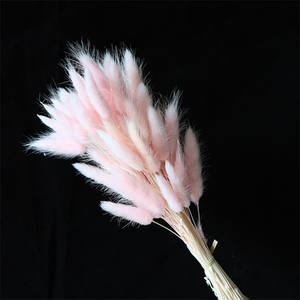 Bouquet de Queues de Lièvre Herbe Naturelle Séchée Arrangement Floral Préservé <span class=keywords><strong>Lagurus</strong></span> Ovatus Style Bohème pour Décoration de Pâques Mariage Maison - Product Image 5