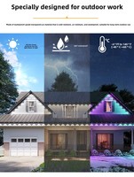 Luz LED Inteligente para Aleros, Personalizada de Fábrica, DC24V, 30m, 60 LED, IP67, Decoración de Fachada de Villa para Exteriores, Luz de Cuerda RGB para Fiestas