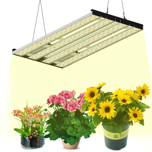 Barra de <span class=keywords><strong>Luz</strong></span> LED para Cultivo de 480w a <span class=keywords><strong>Precio</strong></span> de Fábrica, Lista para Envío, Sistemas de Iluminación Hidropónica para el Crecimiento Industrial - Product Image 1