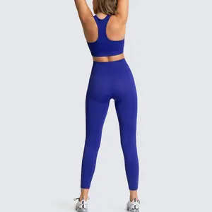 Custom Women's Clothing Gym Fitness Yoga Wear Shorts Summer Set For Women 2 Piece