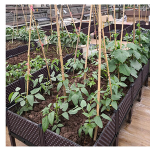 <span class=keywords><strong>Fioriera</strong></span> da Giardino per <span class=keywords><strong>Balcone</strong></span> e Terrazzo, Contenitore per Piante e Ortaggi - Product Image 4